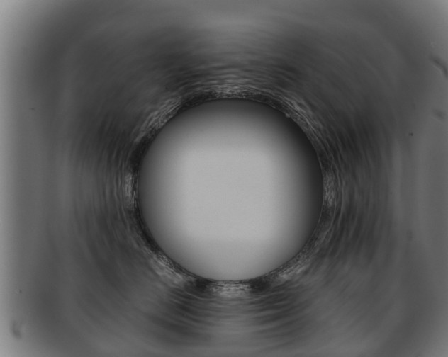 X0000091920670200709051232