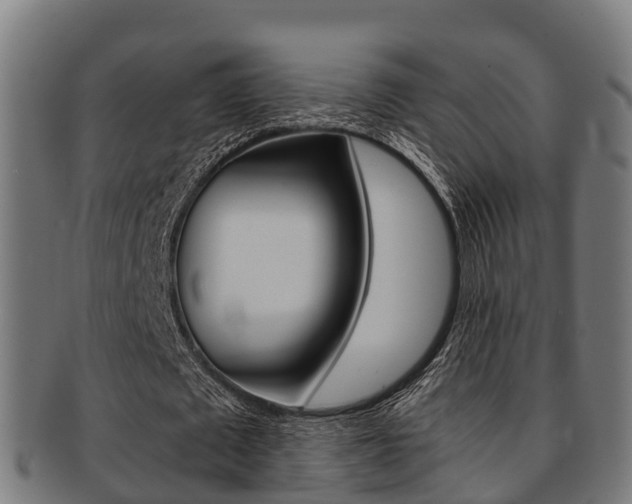 X0000091920673200709051231