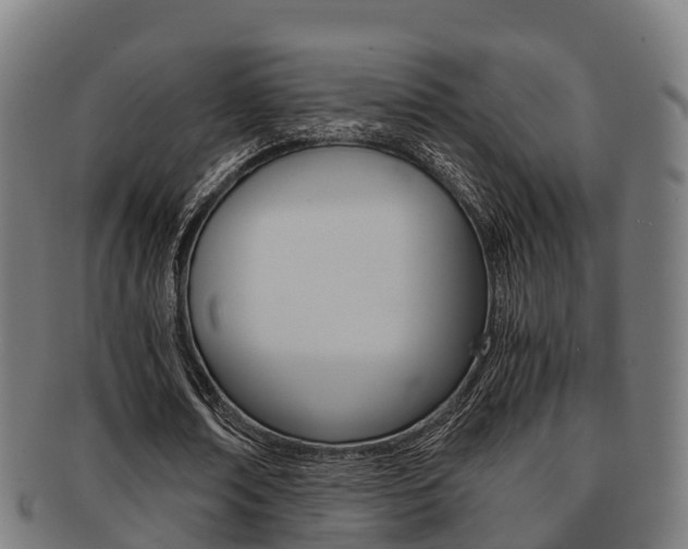 X0000091920674200709051231