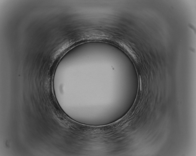 X0000091920675200709051231