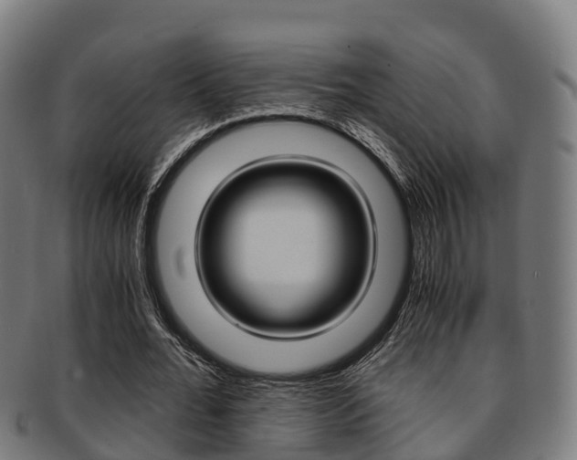 X0000091920676200709051231