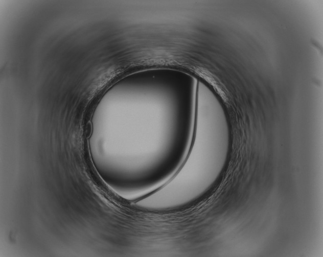 X0000091920677200709051231