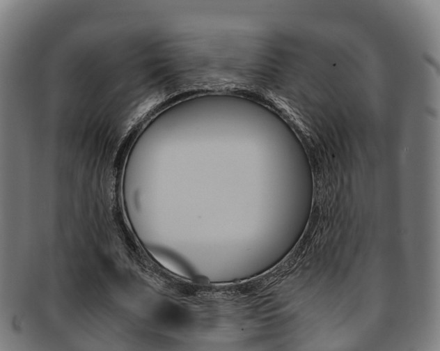X0000091920679200709051231