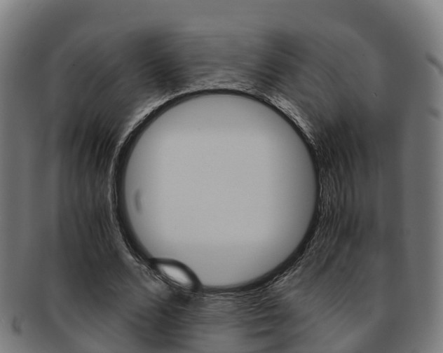 X0000091920680200709051231