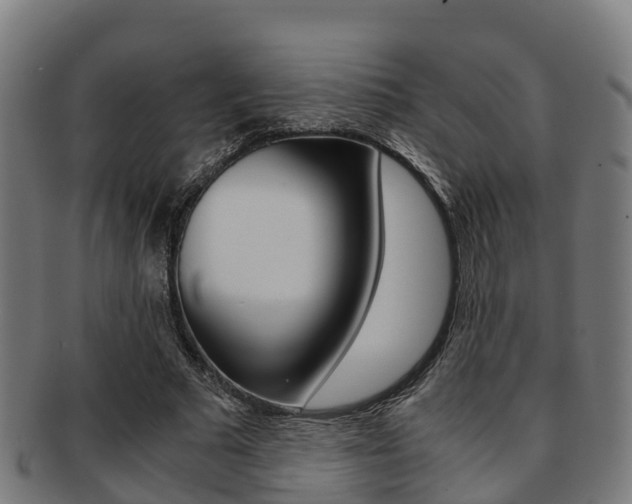 X0000091920681200709051231