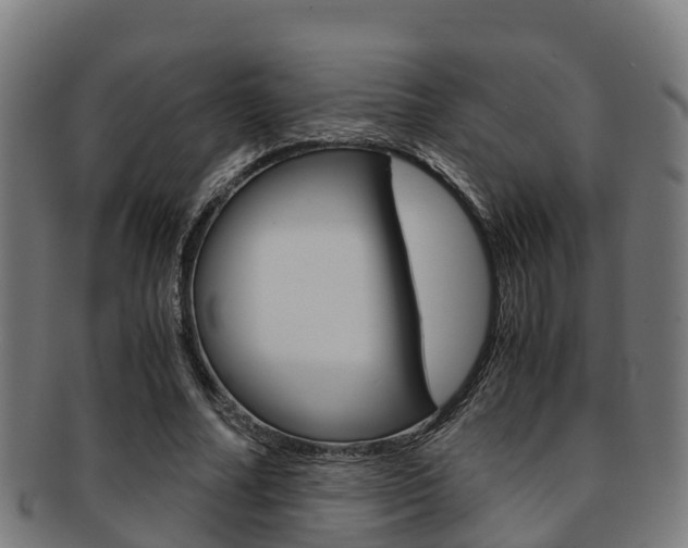 X0000091920682200709051231