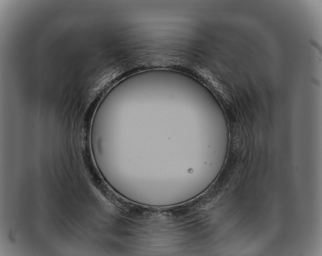 X0000091920683200709051231