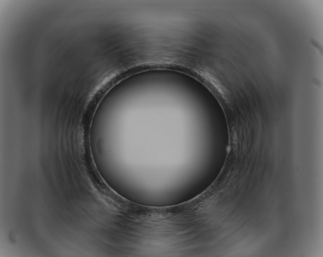 X0000091920684200709051231
