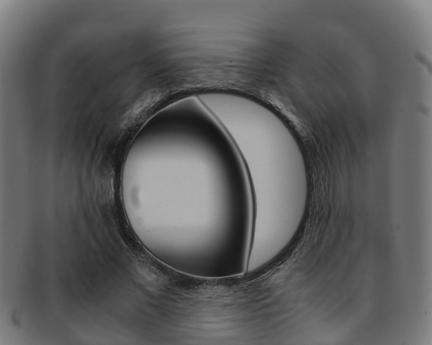 X0000091920685200709051231