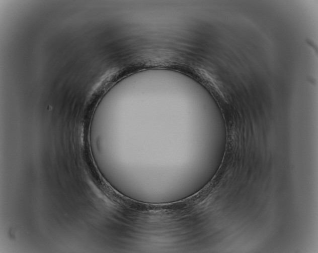 X0000091920686200709051231