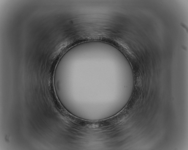 X0000091920687200709051231