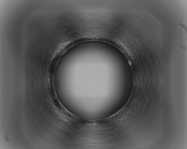 X0000091920688200709051231