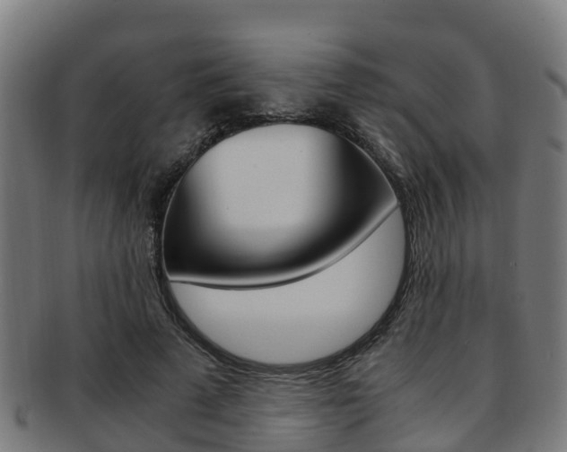 X0000091920689200709051231