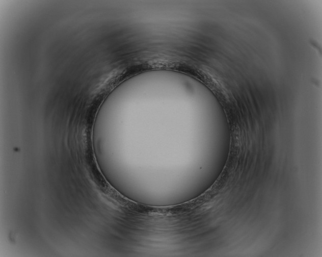 X0000091920690200709051231