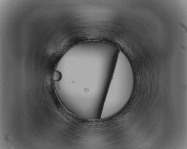 X0000091920691200709051231