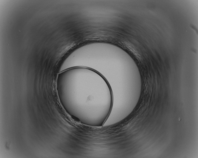 X0000091920692200709051231