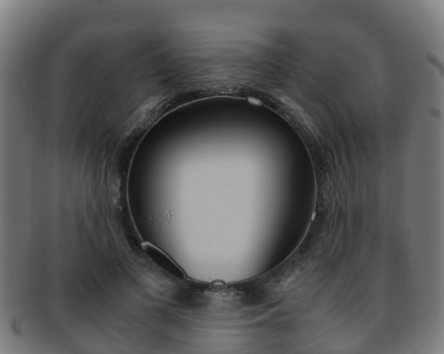X0000091920693200709051231