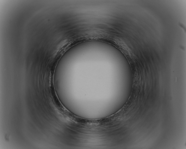 X0000091920694200709051231