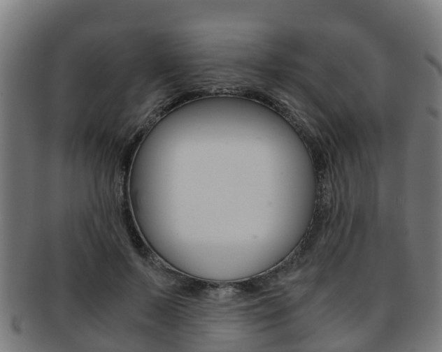 X0000091920695200709051231