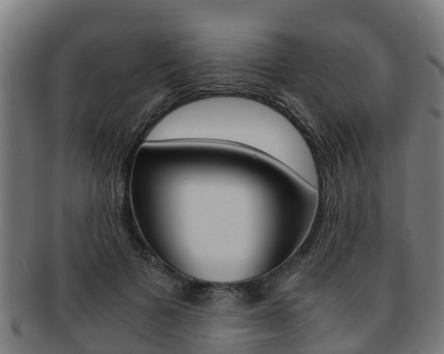 X0000091920697200709051231