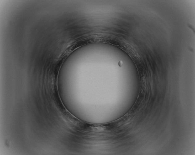X0000091920698200709051231