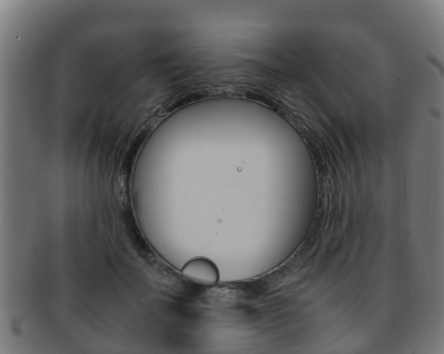 X0000091920699200709051231
