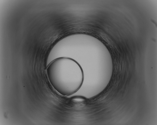 X0000091920700200709051231