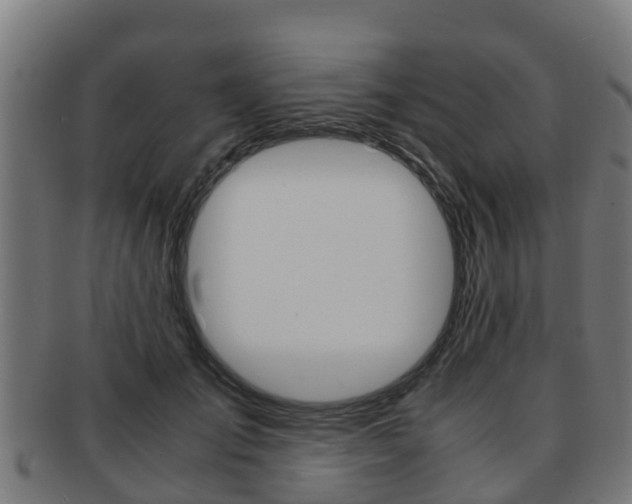 X0000091920701200709051231