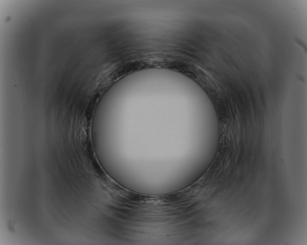 X0000091920702200709051231