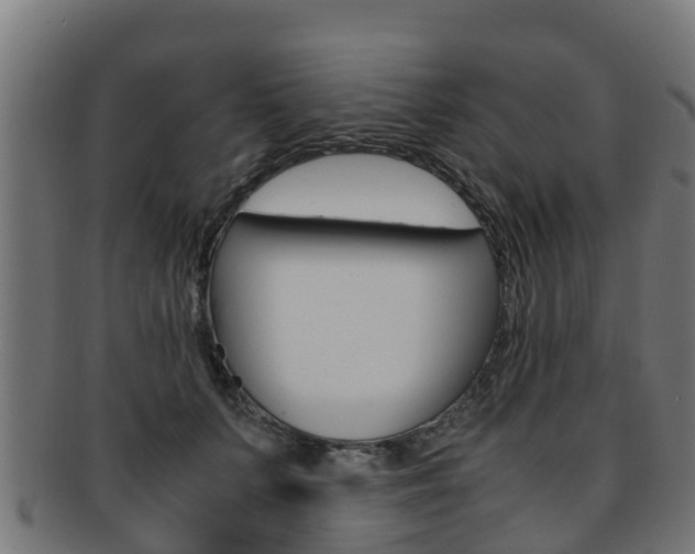 X0000091920703200709051231