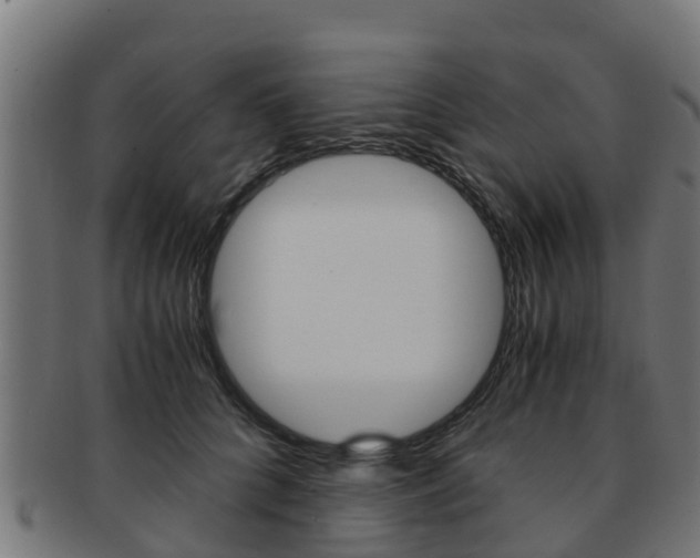 X0000091920704200709051231