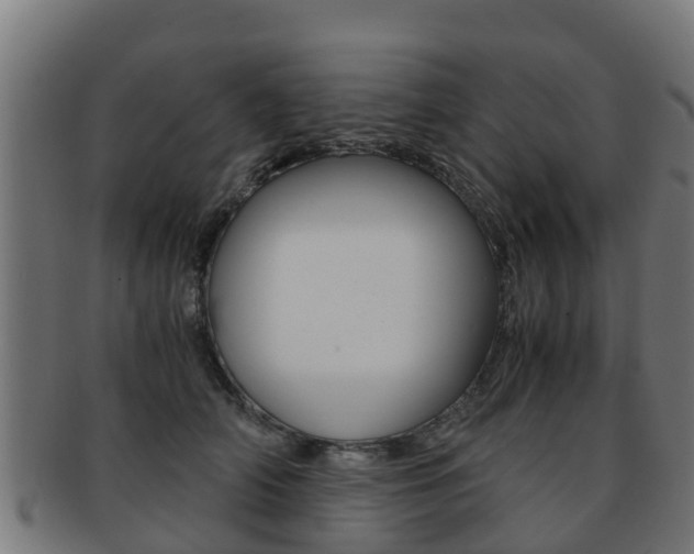 X0000091920706200709051231