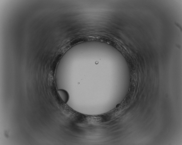 X0000091920707200709051231
