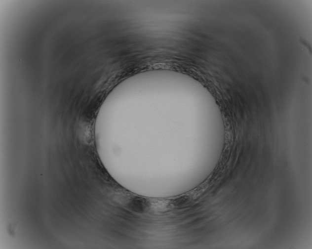 X0000091920709200709051231