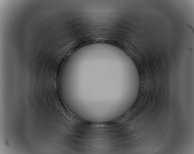 X0000091920710200709051231