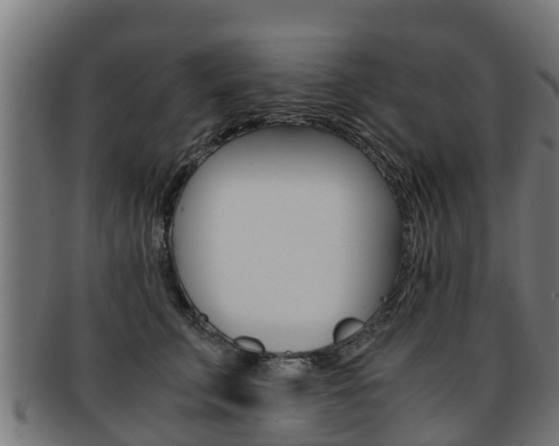 X0000091920711200709051231