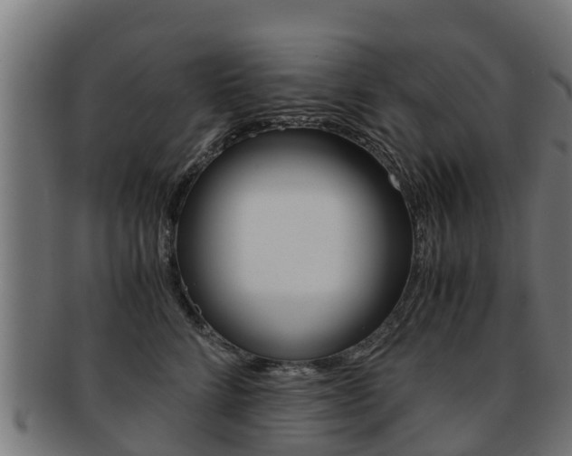 X0000091920712200709051231