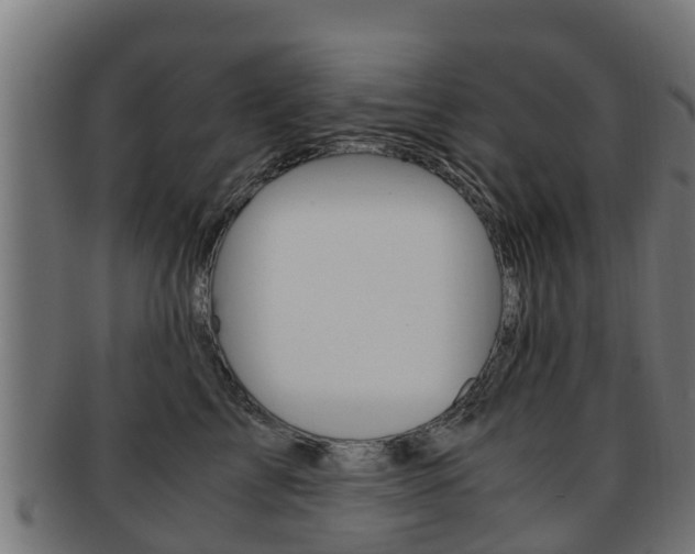 X0000091920713200709051231