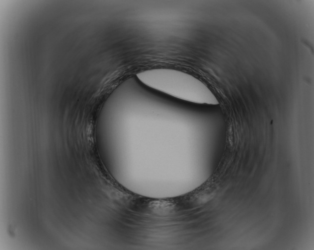X0000091920714200709051231