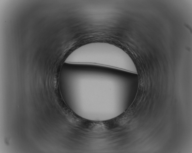 X0000091920715200709051231
