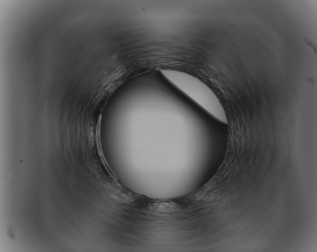 X0000091920716200709051231
