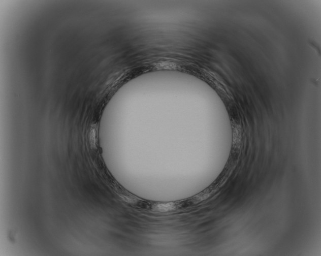 X0000091920717200709051231