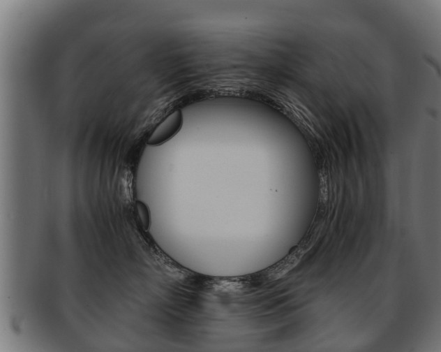 X0000091920718200709051231