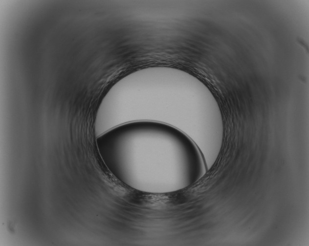 X0000091920719200709051231
