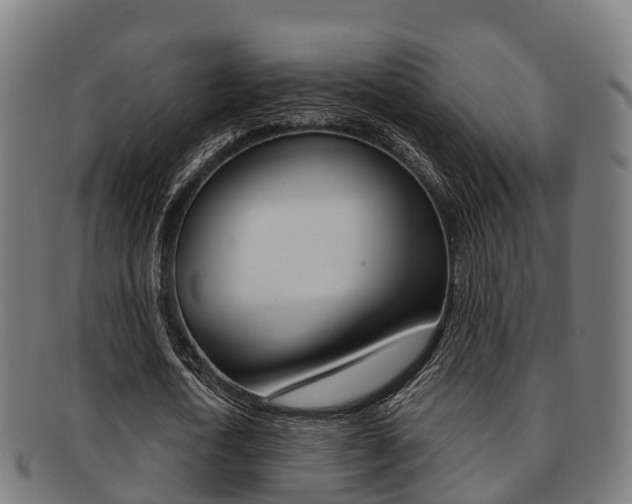 X0000091920722200709051230