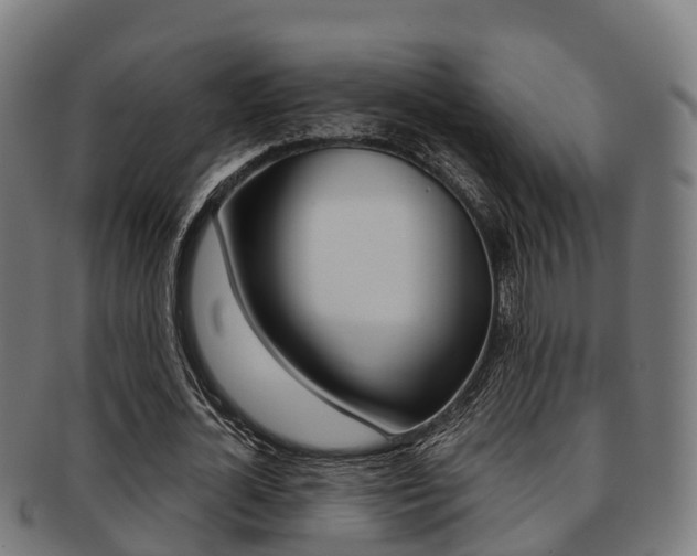 X0000091920724200709051230