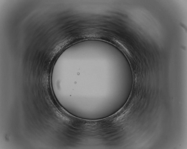 X0000091920725200709051230