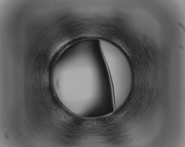 X0000091920727200709051230