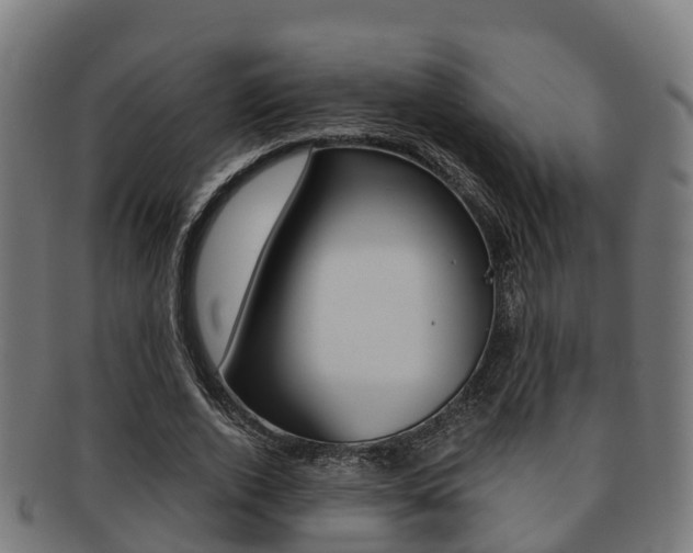X0000091920728200709051230