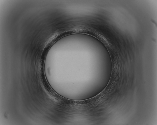 X0000091920730200709051230
